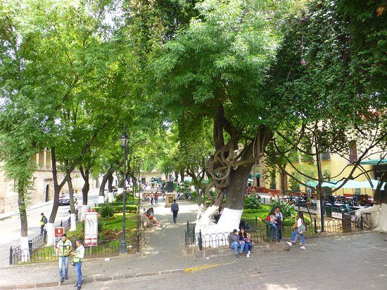 Jardín de Las Rosas